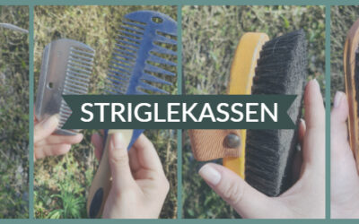 Dette skal man bruge i striglekassen